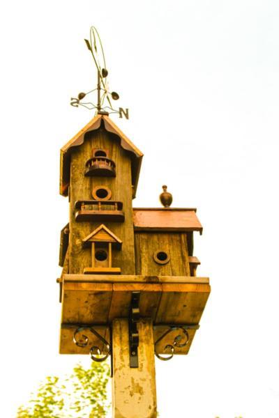 The Nutmeg Inn 메레디스 외부 사진